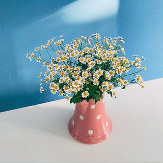 Логотип @fotofonydlyastories - ФОТО ФОНЫ ДЛЯ СТОРИС