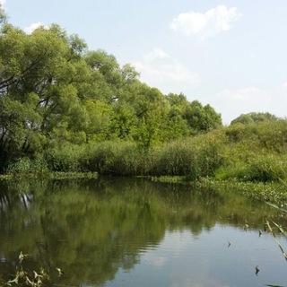 Логотип @fotorodnoe - Фото родное