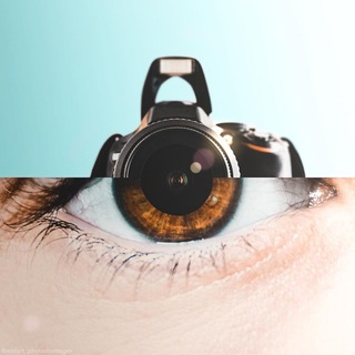 Логотип @fotoseed - Фото фокус