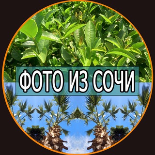 Логотип @fotossochi - Фото из Сочи