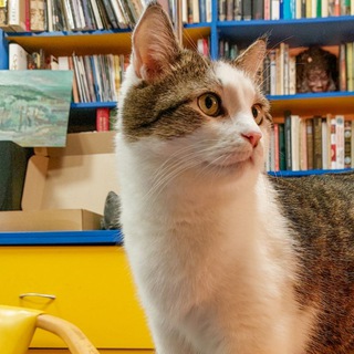 Логотип @fototropka - Фототропа: путешествия с фотоаппаратом