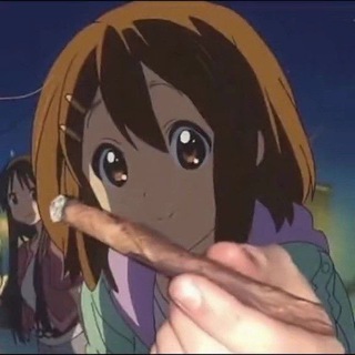 Логотип @fotveled - Fotvel