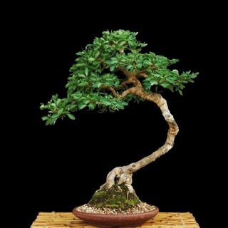 Логотип @foundagain - Found