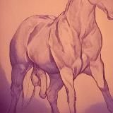 Логотип @fourandone - Four Legs, One Dick