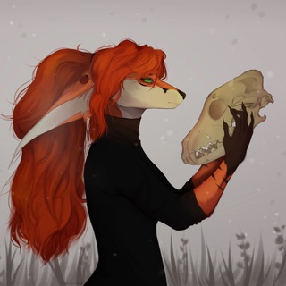 Логотип @fox_osteologovo - ЛИСучкино ОСТЕОЛОГово