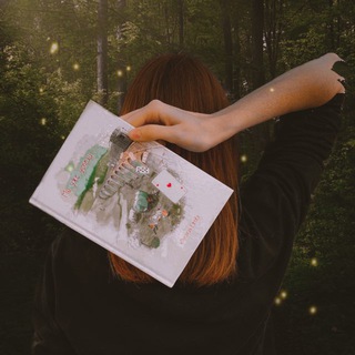 Логотип @foxandbooks - На чтение отвлеклась