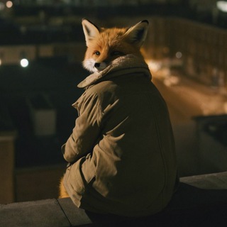Логотип @foxfree_comments - Fox free комменты