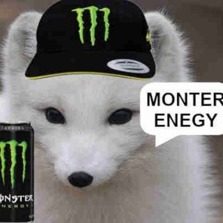 Логотип @foxleyshitmemestash - Paul Foxley's Shit Meme Stash