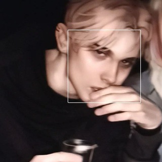 Логотип @foxpalmetto - 🐾ВСЁ РАДИ ИГРЫ🐾