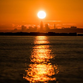 Логотип @foxx545 - FOX MOMENTS