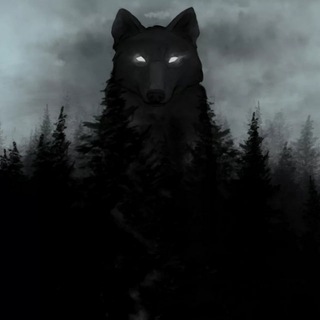 Логотип @foxy_home - Лисьи топи