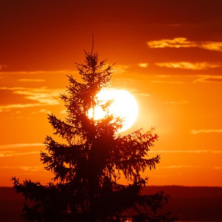 Логотип @framejapan - frame: Japan 🇯🇵