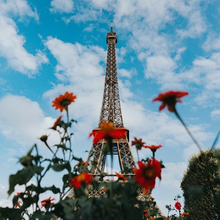 Логотип @francais_l - Французька мова 🇫🇷