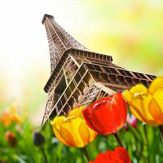 Логотип @francaismh - Apprendre le Français