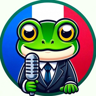 Логотип @franceinformation - France Information 🇫🇷 Froggy TV 🐸