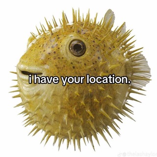 Логотип @franzi_wiw - архив францика