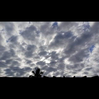 Логотип @frases31 - 💙🦋