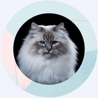 Логотип @frauhertje - Турнюр, гипюр и кракелюр