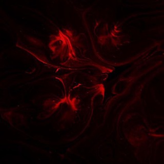 Логотип @free_fire_savdoakk - FREE FIRE