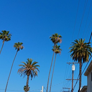 Логотип @free_podcasts - hesoyam