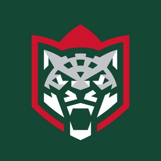 Логотип @freebesf - HSport l Ставки на спорт