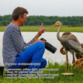 Логотип @freebiologist - free biologist 🐦‍⬛️