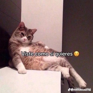 Логотип @freebooks_ar - Free Books 📚