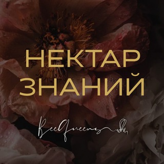 Логотип @freebq - Нектар знаний | BQ 🐝