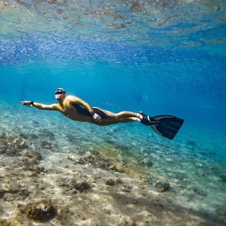 Логотип @freedivingm - 🐬 Школа Фридайвинга имени Н. Молчановой