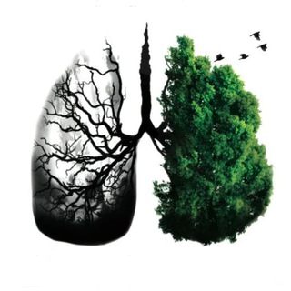 Логотип @freedom_of_choice_nicotine - Свобода Выбора