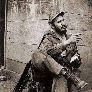 Логотип @freedomisland134 - Остров Свободы