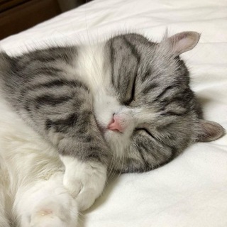 Логотип @freekomaru - FREE KOMARU | ПРОМОКОДЫ