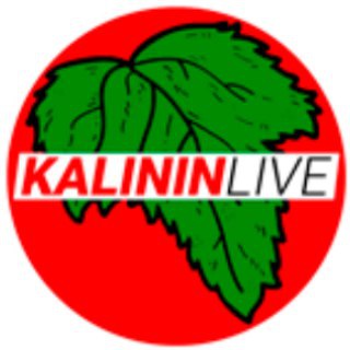 Логотип @freelancer_kalininlive - ПРОДВИЖЕНИЕ В INSTAGRAM И ВК
