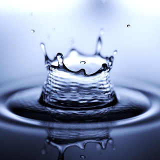 Логотип @freeplaysmoneytone - Splash Sports - Free Plays