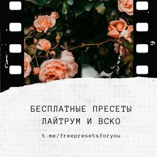 Логотип @freepresetsforyou - ПРЕСЕТЫ | ОБРАБОТКА ФОТО | ИДЕИ 🌟