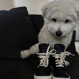 Логотип @freeprivateglitch - GLITCH DESIGN