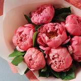 Логотип @freeslivkyrs - @sliv_ot_blogerov_2👈ищи в поиске!