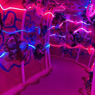 Логотип @freestuffhere2 - $SD UNIVERSITY🎀