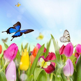 Логотип @freeverhova - Freeverhova