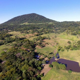 Логотип @frei_selbstbestimmt_paraguay - Frei Leben Nature Invest Paraguay