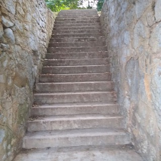 Логотип @freies_friedliches_leben - Für ein freies, friedliches und eigenverantwortliches Leben