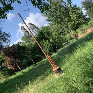 Логотип @freies_radikal - 🕊 freiesRadikal