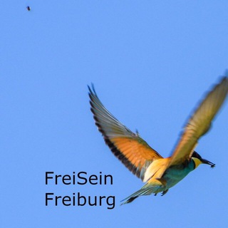 Логотип @freiseinfreiburginfokanal - FreiSeinFreiburg Infokanal