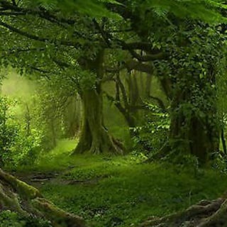 Логотип @freispech_kanal - Werde wieder Mensch.....