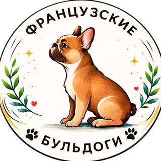 Логотип @french_bulldogs - Французские бульдоги | French bulldogs