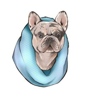 Логотип @frenchbulldoghouse - Французские Бульдоги от питомника Фрэнчи Хаус