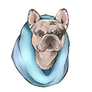 Логотип @frenchiehousekennel - Французские бульдоги от питомника Frenchie House