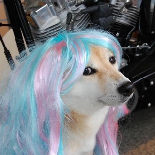 Логотип @freshmemes18 - фрешмеми🇺🇦