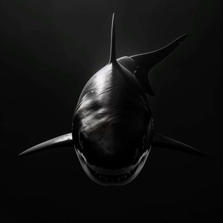 Логотип @freshmt1 - FRESH MINIMAL SHARK