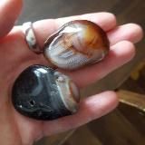 Логотип @freutagsbotschaft - Freutagsbotschaft